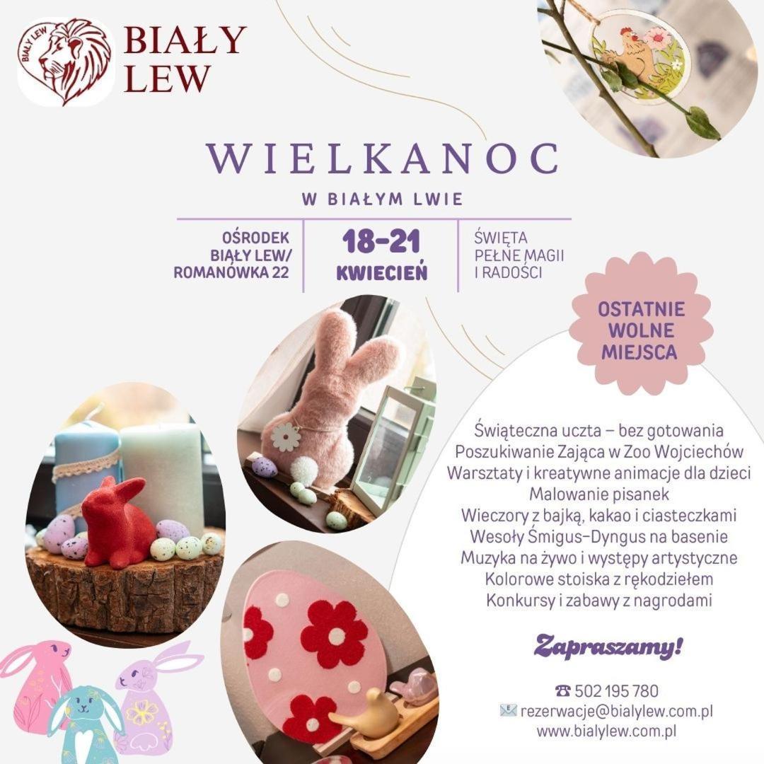Bed and Breakfast Osrodek Bialy Lew Wojciechow  Екстер'єр фото